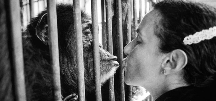 Indian Circus 89.  401S-485-028
India  1989
Mary Ellen and Raja, Great Gemini Circus, Perintalmanna, India, 1989